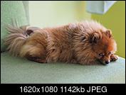 Kliknij obrazek, aby uzyskać większą wersję

Nazwa:	P4130110.jpg
Wyświetleń:	67
Rozmiar:	1,11 MB
ID:	200002