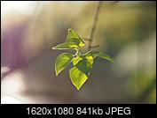 Kliknij obrazek, aby uzyskać większą wersję

Nazwa:	P4190226.jpg
Wyświetleń:	112
Rozmiar:	841,2 KB
ID:	200135