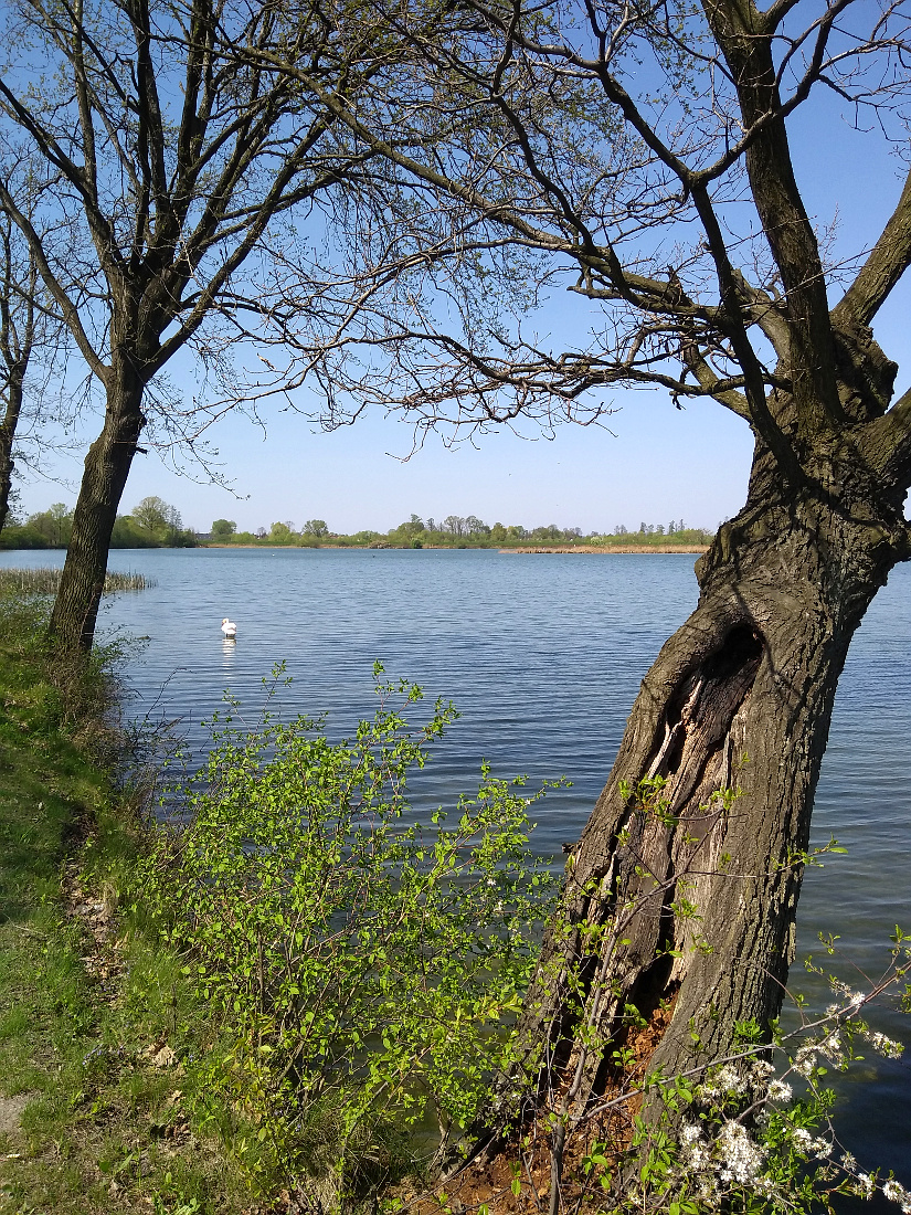 Nazwa:  IMG_20180421_131338681.jpg
Wyświetleń: 212
Rozmiar:  820,0 KB