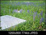 Kliknij obrazek, aby uzyskać większą wersję

Nazwa:	P5030486.jpg
Wyświetleń:	87
Rozmiar:	773,6 KB
ID:	200509