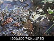 Kliknij obrazek, aby uzyskać większą wersję

Nazwa:	P5040570.jpg
Wyświetleń:	88
Rozmiar:	741,7 KB
ID:	200570