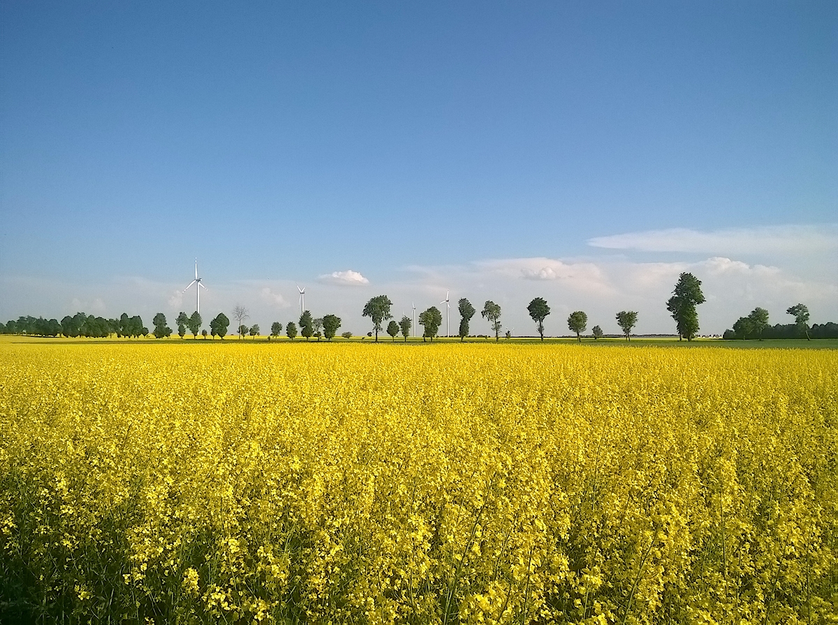 Nazwa:  WP_20180509_002_hf.jpg
Wyświetleń: 278
Rozmiar:  1,09 MB