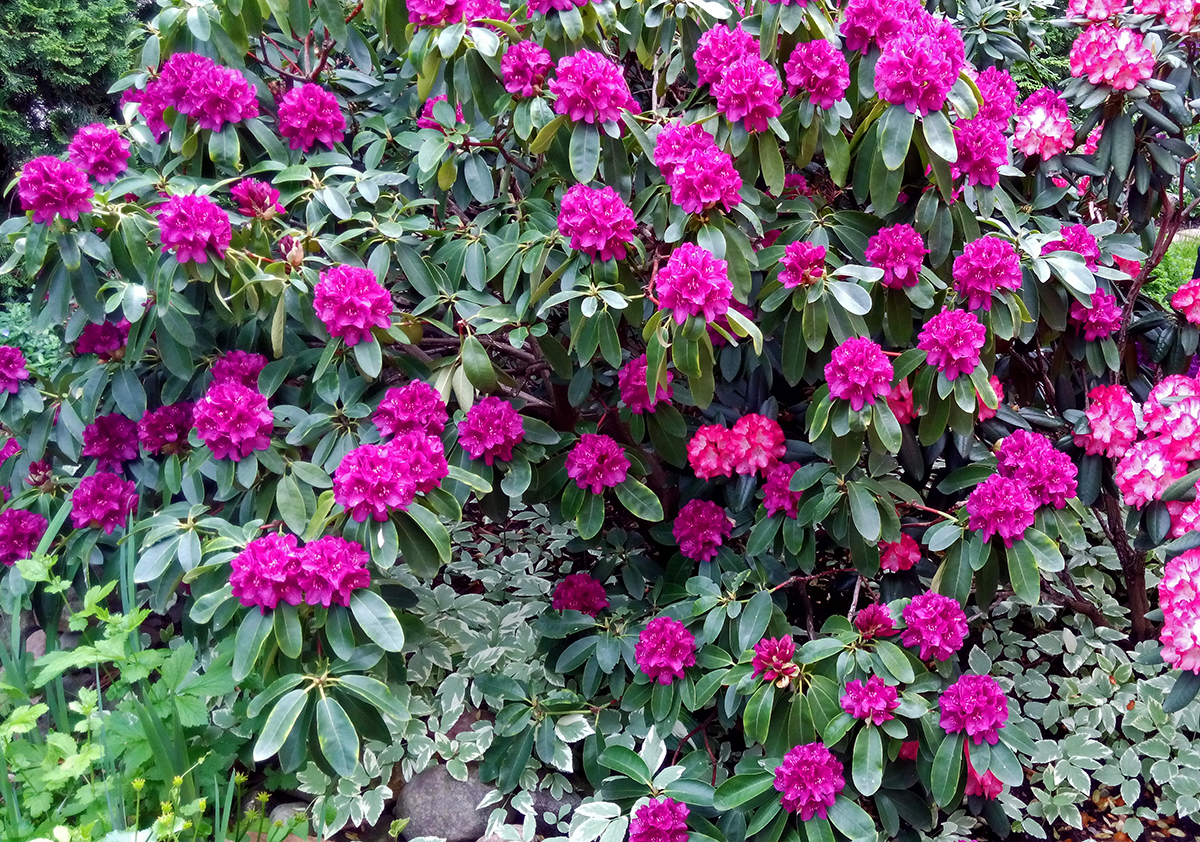 Kliknij obrazek, aby uzyskać większą wersję

Nazwa:	IMG_20180511_144123-2.jpg
Wyświetleń:	364
Rozmiar:	1,36 MB
ID:	200758