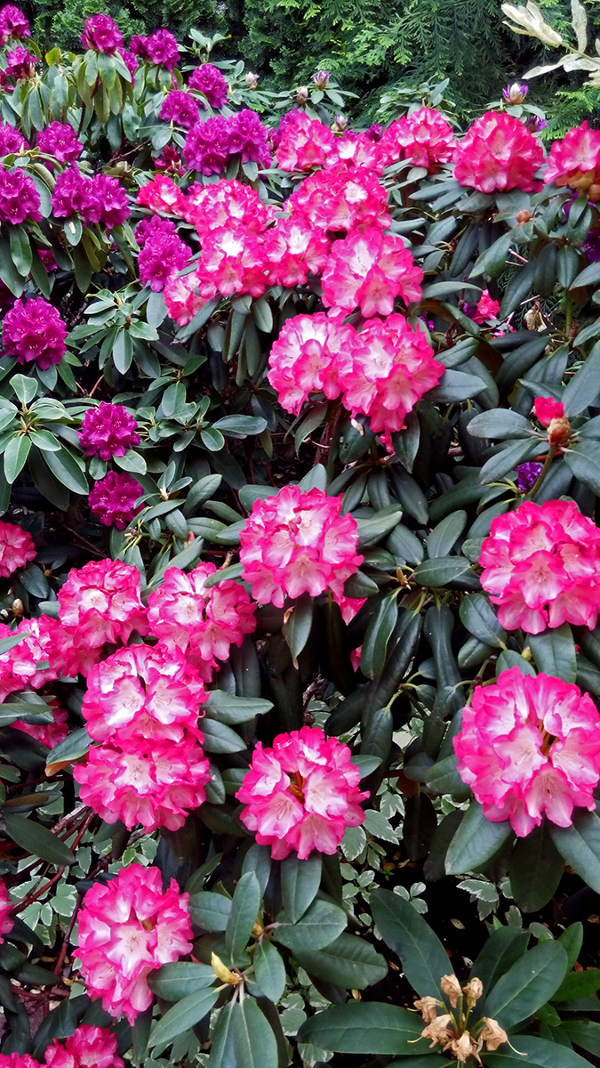 Kliknij obrazek, aby uzyskać większą wersję

Nazwa:	IMG_20180511_144133-1.jpg
Wyświetleń:	336
Rozmiar:	982,5 KB
ID:	200759