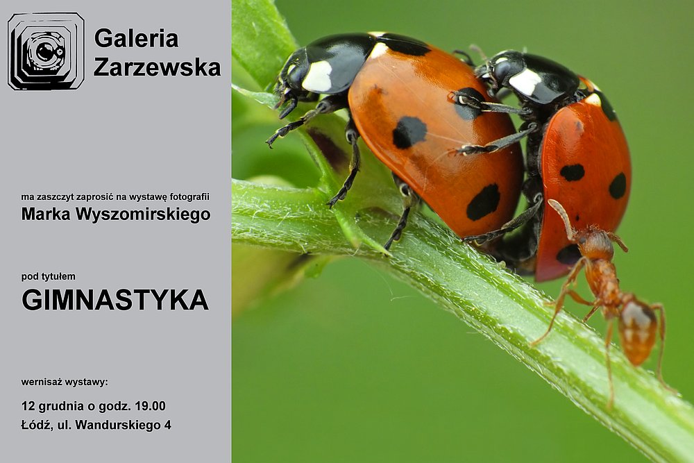 Nazwa:  00zaproszenie.jpg
Wyświetleń: 333
Rozmiar:  116,6 KB