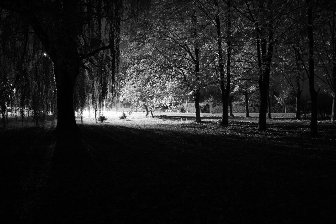 Nazwa:  8.JPG
Wyświetleń: 641
Rozmiar:  341,4 KB