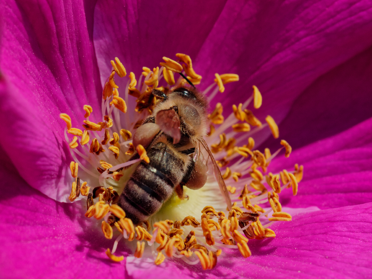 Kliknij obrazek, aby uzyskać większą wersję

Nazwa:	05062018_TROP1601_DxO.jpg
Wyświetleń:	234
Rozmiar:	803,0 KB
ID:	201673