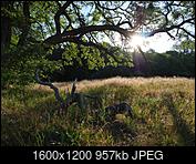 Kliknij obrazek, aby uzyskać większą wersję

Nazwa:	P1011142.jpg
Wyświetleń:	112
Rozmiar:	956,6 KB
ID:	201768