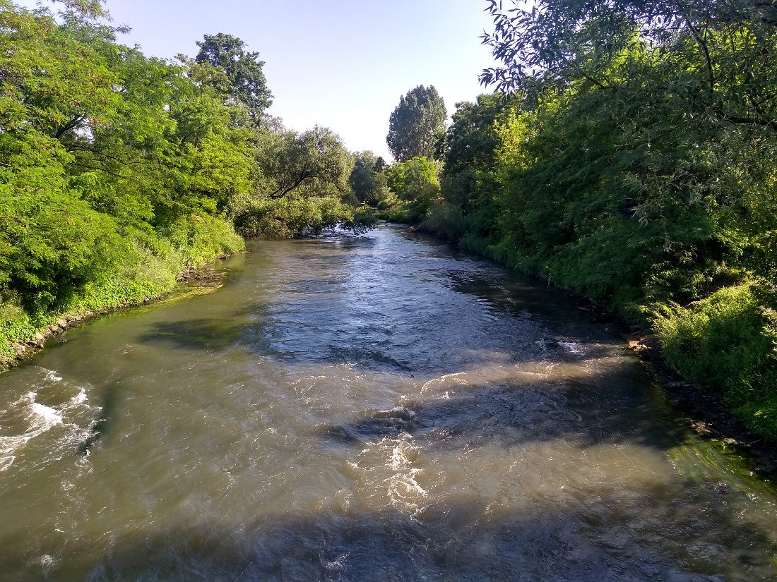 Nazwa:  IMG_20180617_083314055_HDR.jpg
Wyświetleń: 156
Rozmiar:  604,6 KB
