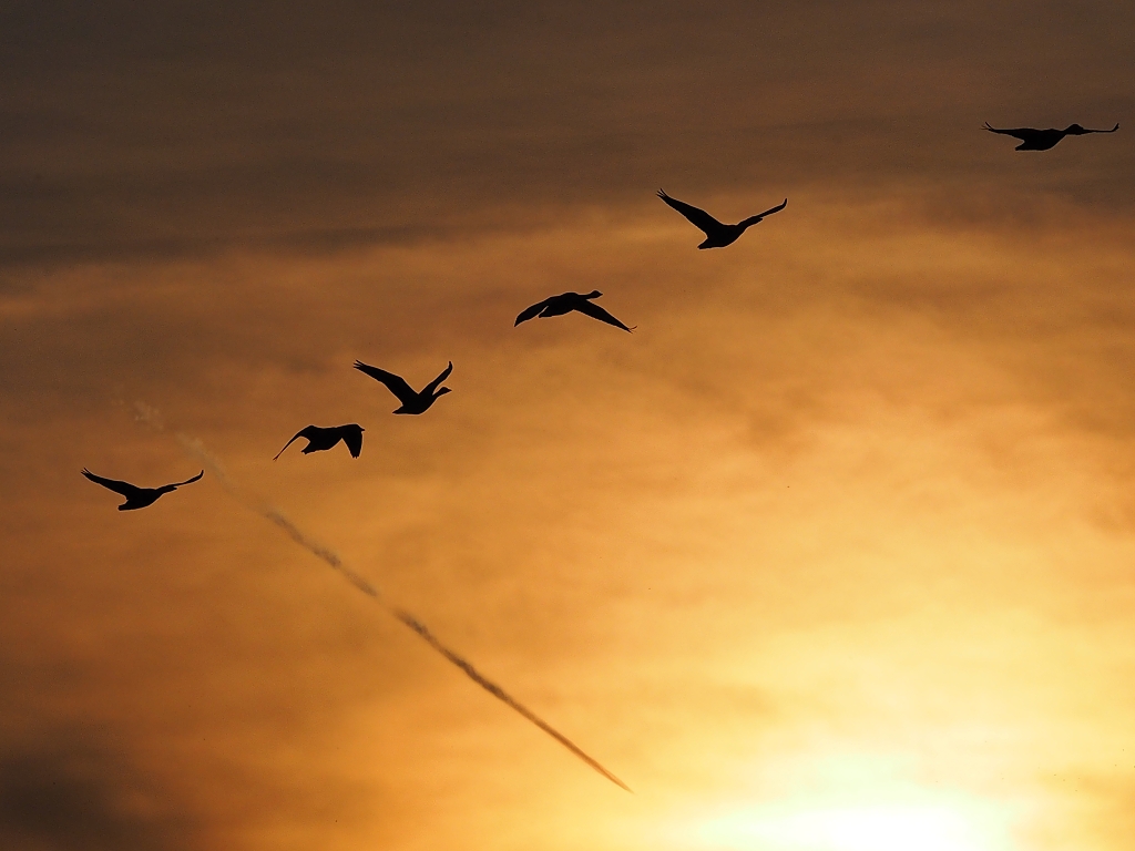 Nazwa:  P721095311a.jpg
Wyświetleń: 168
Rozmiar:  389,5 KB