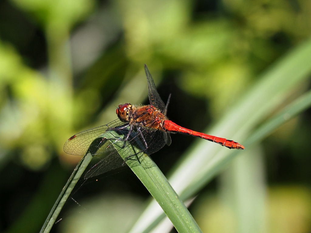 Nazwa:  P7241145a.jpg
Wyświetleń: 167
Rozmiar:  445,1 KB