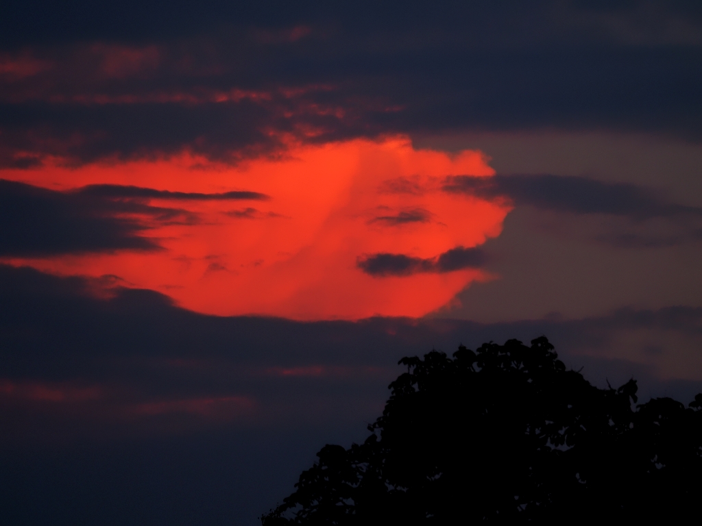 Nazwa:  P7260021s.jpg
Wyświetleń: 184
Rozmiar:  335,7 KB