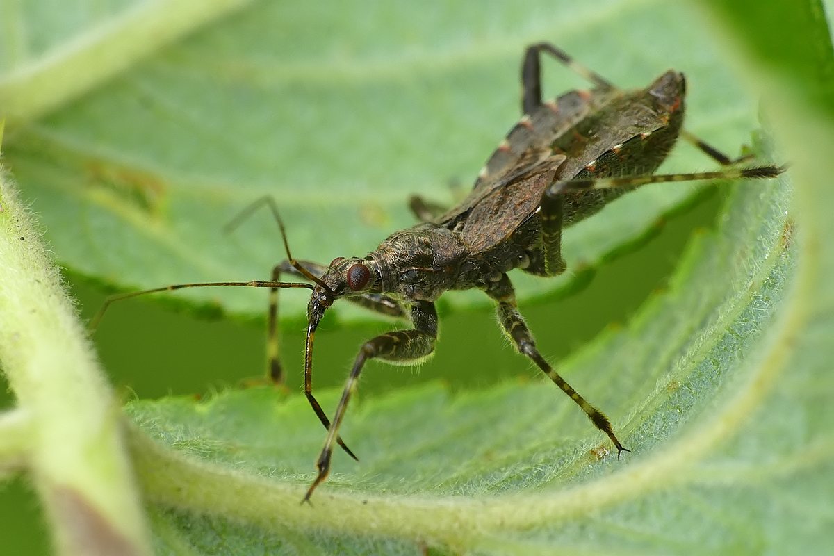 Nazwa:  zazartka43518cf.jpg
Wyświetleń: 284
Rozmiar:  116,8 KB