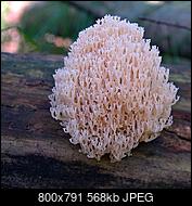 Kliknij obrazek, aby uzyskać większą wersję

Nazwa:	Kopia _DSC4230.jpg
Wyświetleń:	51
Rozmiar:	567,6 KB
ID:	204234