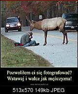 Kliknij obrazek, aby uzyskać większą wersję

Nazwa:	Atak.jpg
Wyświetleń:	92
Rozmiar:	149,3 KB
ID:	204451