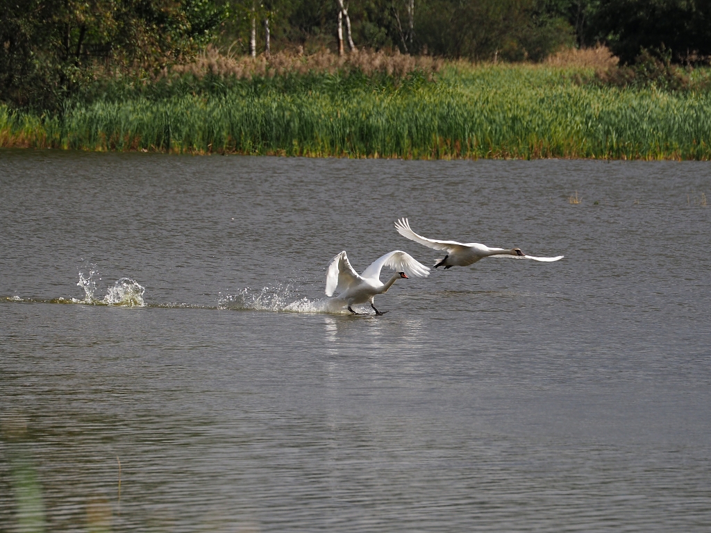 Nazwa:  PA040527.jpg
Wyświetleń: 215
Rozmiar:  636,9 KB