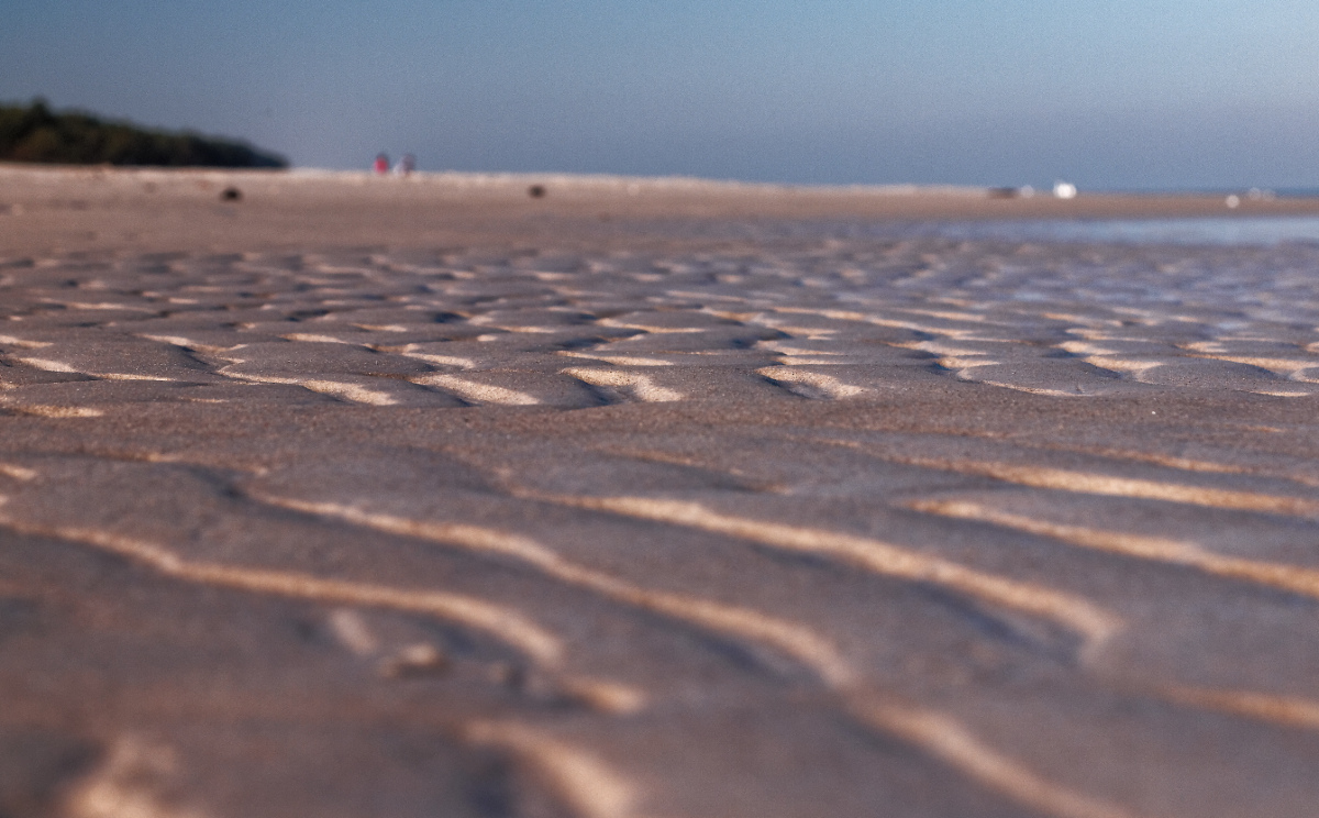 Nazwa:  PA142989_DxO.jpg
Wyświetleń: 82
Rozmiar:  371,7 KB