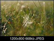 Kliknij obrazek, aby uzyskać większą wersję

Nazwa:	PA130138.jpg
Wyświetleń:	84
Rozmiar:	667,5 KB
ID:	204943