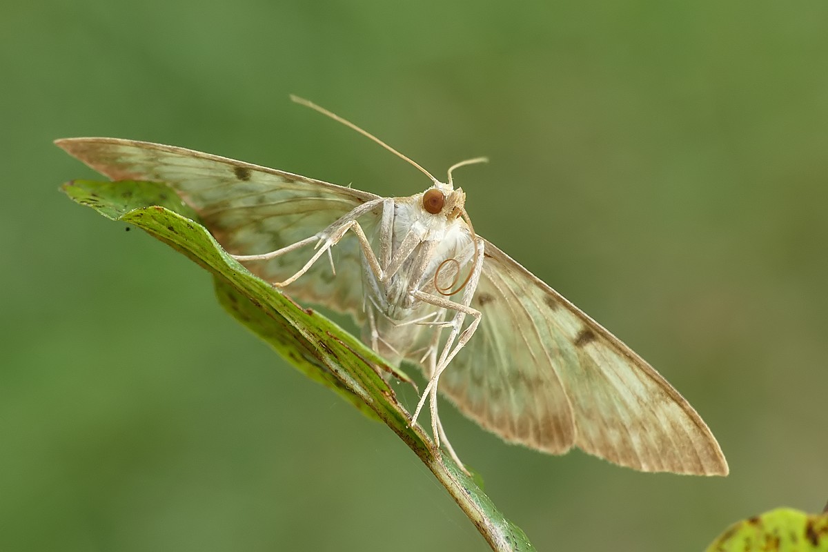 Nazwa:  cma58798cf.jpg
Wyświetleń: 240
Rozmiar:  114,8 KB
