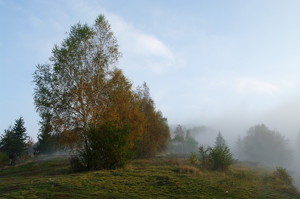 Nazwa:  K2010793.JPG
Wyświetleń: 261
Rozmiar:  319,5 KB