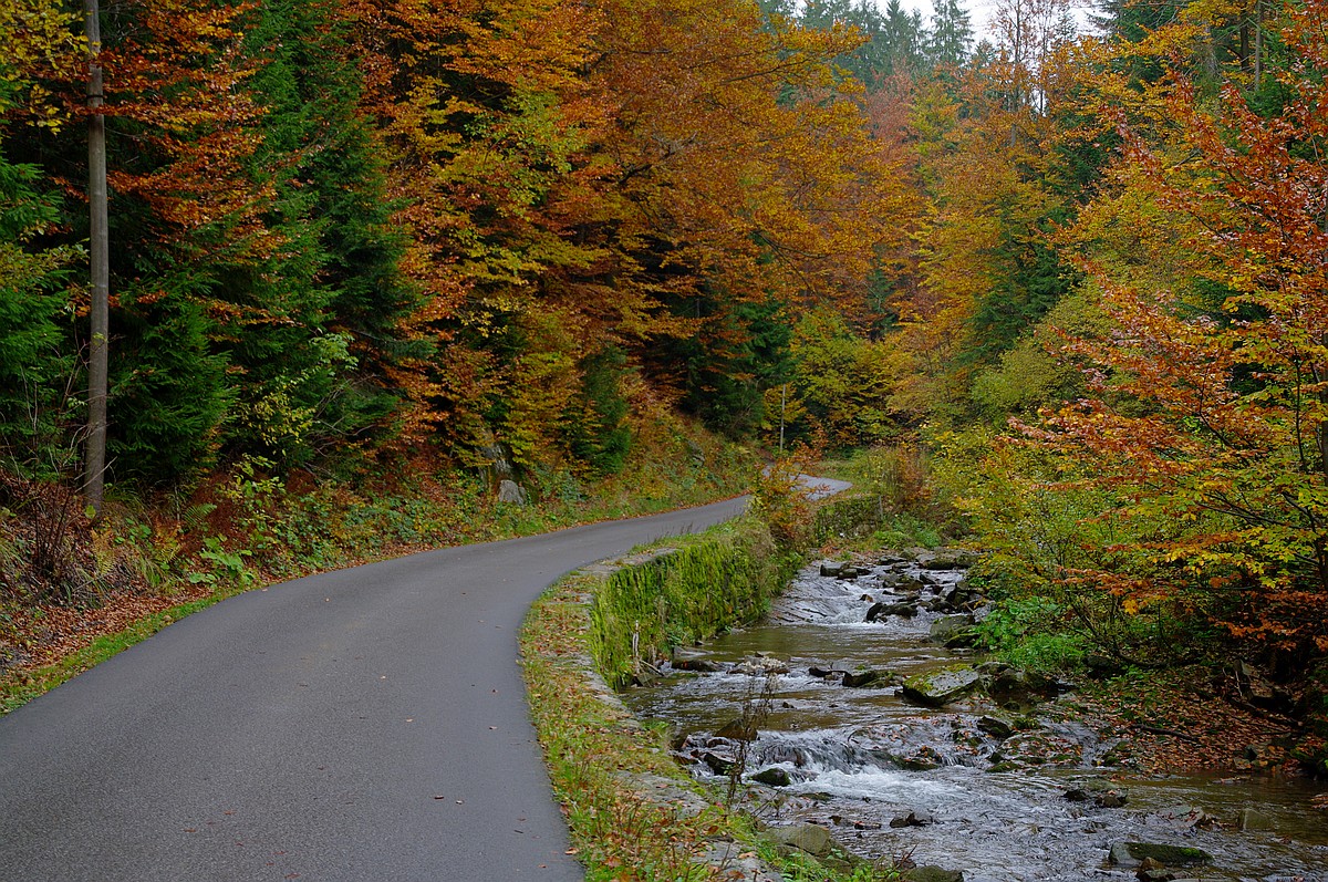 Nazwa:  K2010958.JPG
Wyświetleń: 235
Rozmiar:  580,1 KB