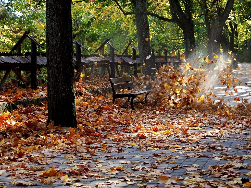 Nazwa:  jesiennie 4.jpg
Wyświetleń: 199
Rozmiar:  838,0 KB