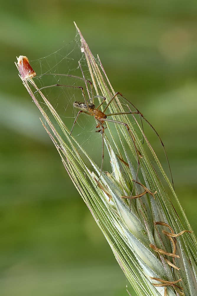 Nazwa:  kwadratnik21715cf.jpg
Wyświetleń: 173
Rozmiar:  156,8 KB
