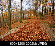 Kliknij obrazek, aby uzyskać większą wersję

Nazwa:	PB030192.jpg
Wyświetleń:	56
Rozmiar:	2,49 MB
ID:	205644