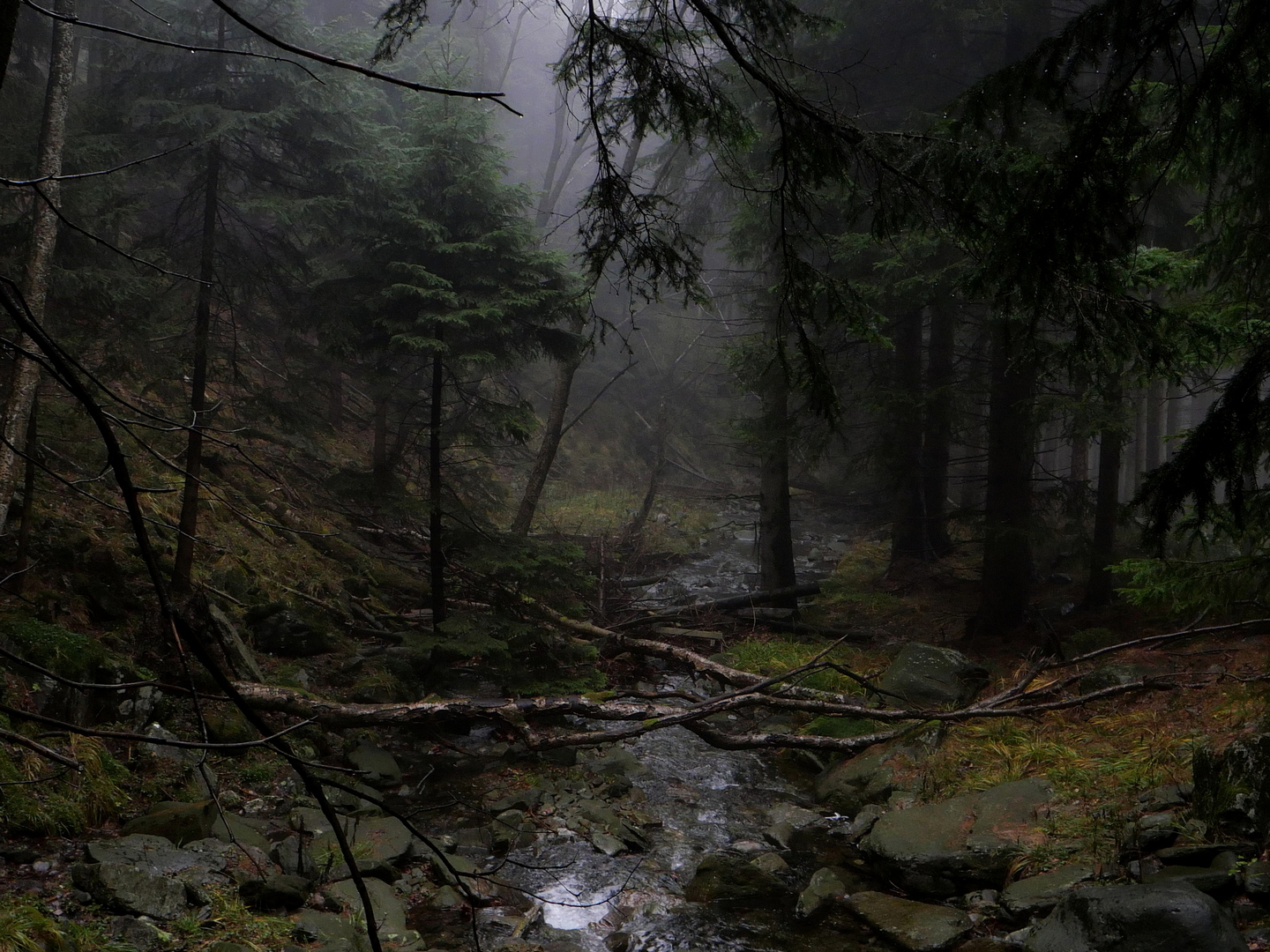 Nazwa:  P1075864fli.JPG
Wyświetleń: 166
Rozmiar:  907,6 KB