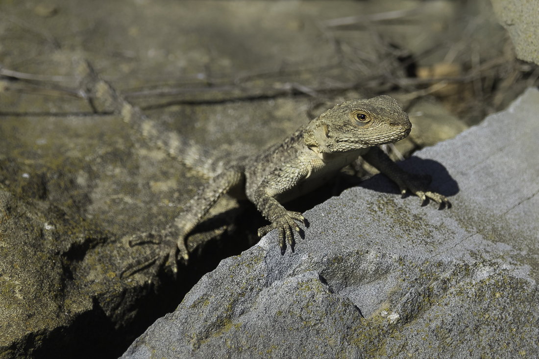 Nazwa:  P9231080.jpg
Wyświetleń: 248
Rozmiar:  714,7 KB