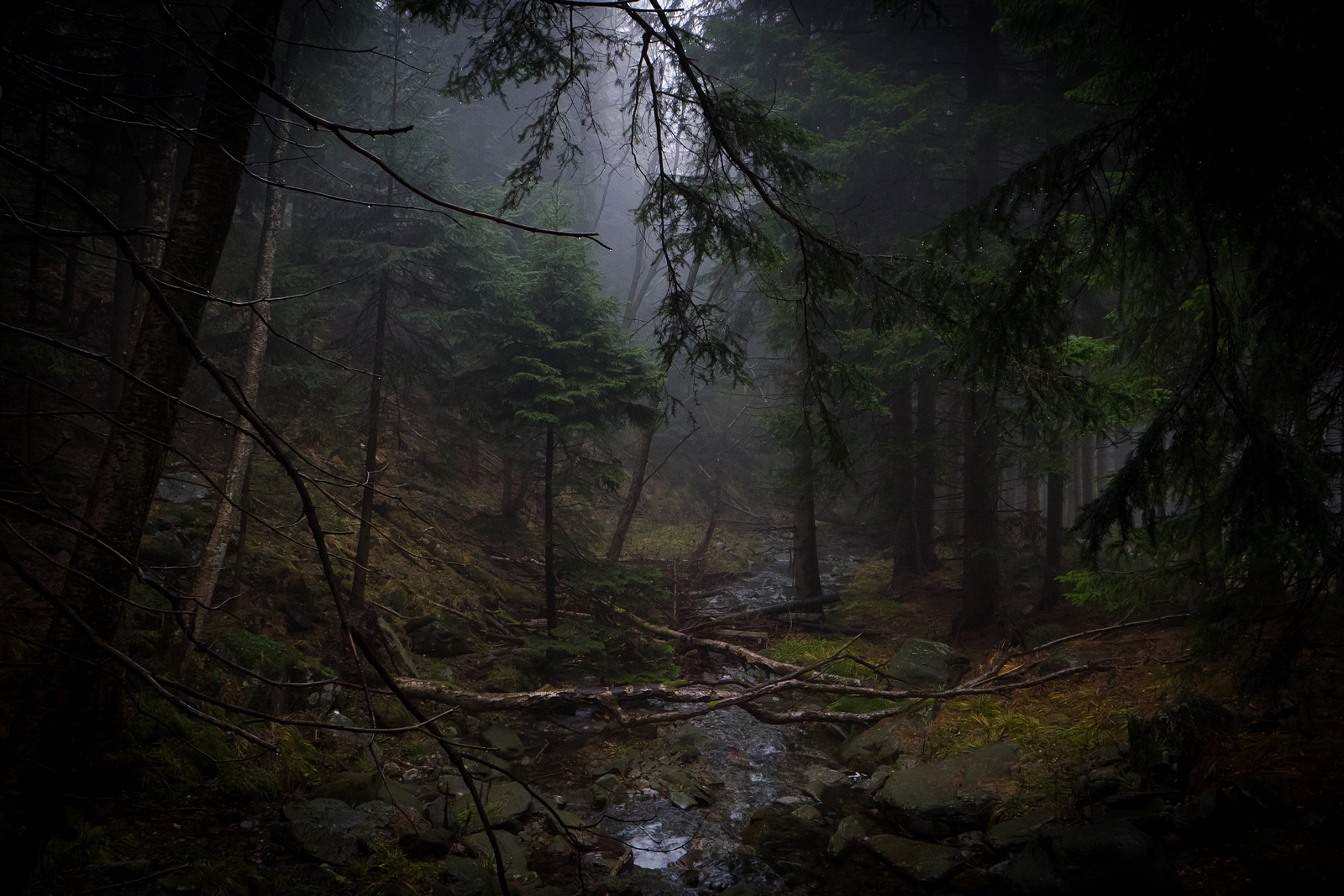 Nazwa:  P1075865mm.jpg
Wyświetleń: 1112
Rozmiar:  1,07 MB