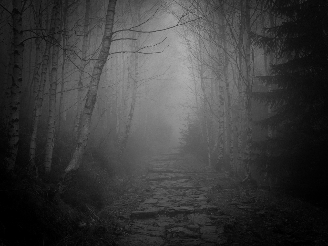 Nazwa:  P1075855.jpg
Wyświetleń: 988
Rozmiar:  548,0 KB