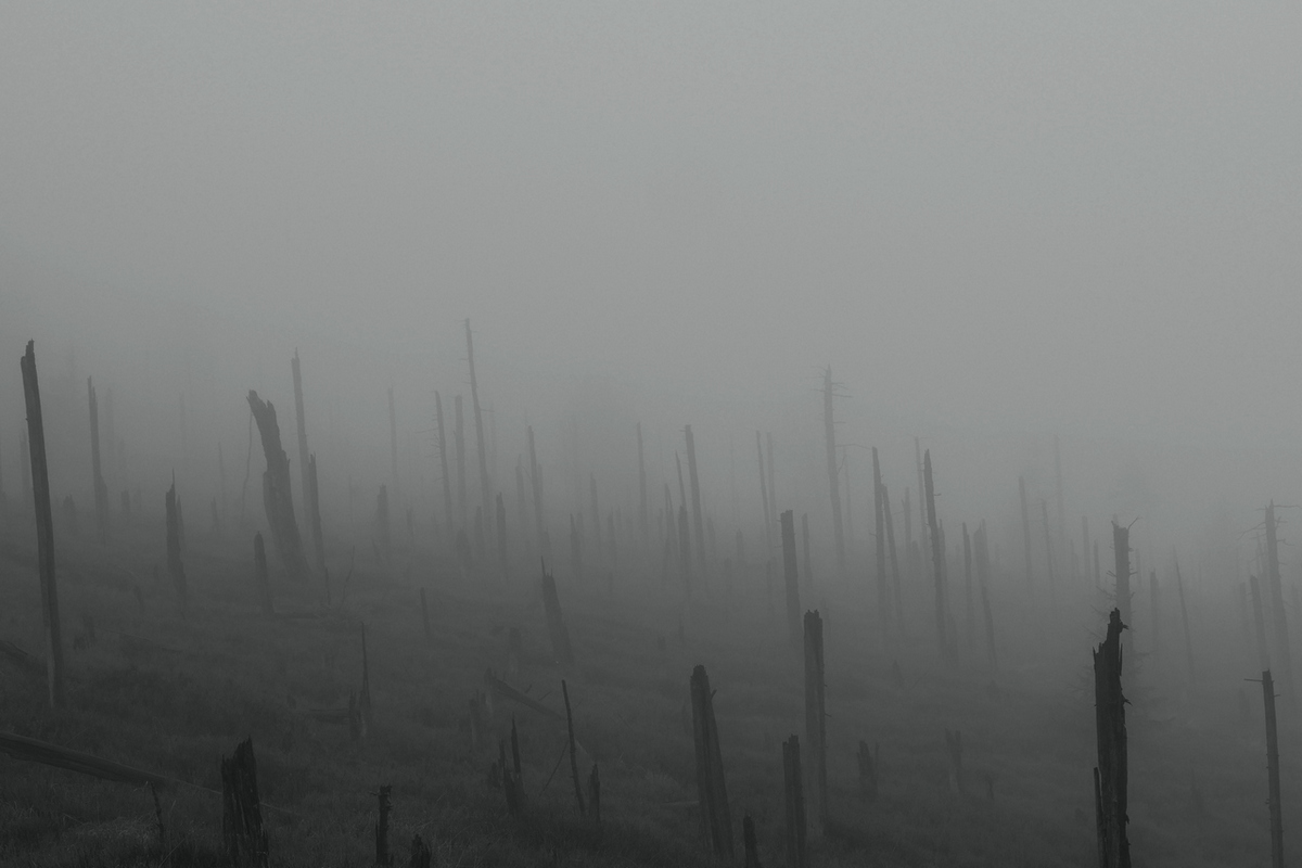 Nazwa:  P1075836.JPG
Wyświetleń: 1025
Rozmiar:  261,6 KB