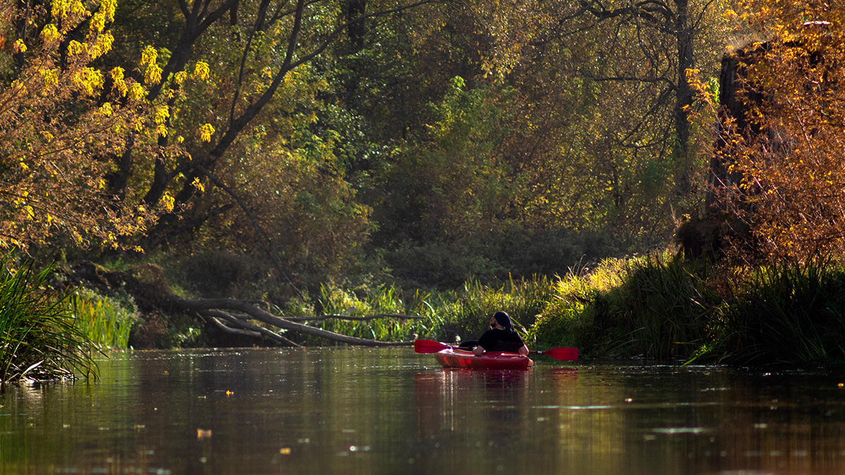 Nazwa:  PA130515.jpg
Wyświetleń: 219
Rozmiar:  516,5 KB