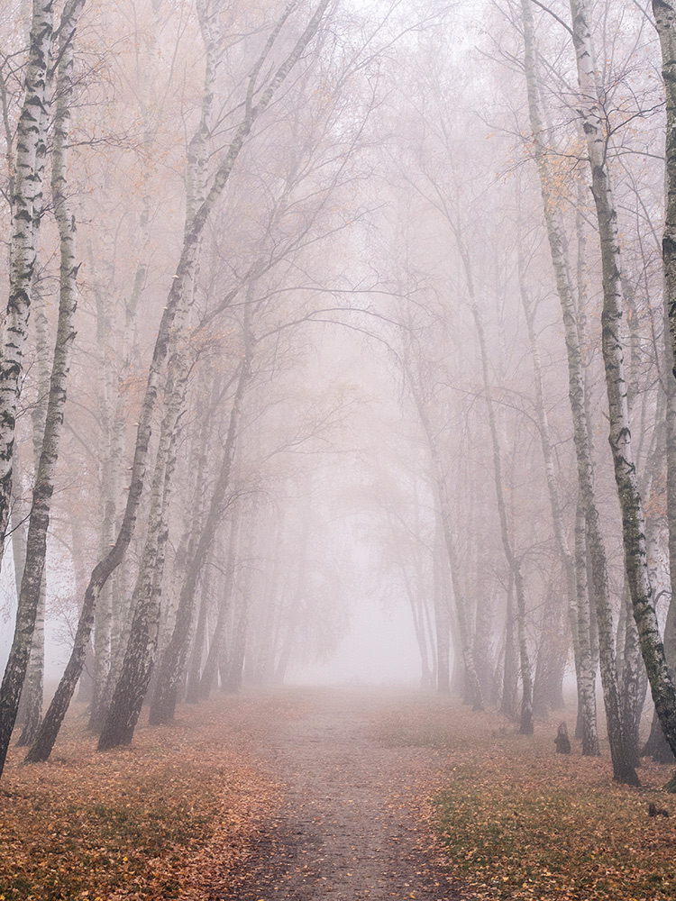 Nazwa:  PB090767.jpg
Wyświetleń: 207
Rozmiar:  331,4 KB