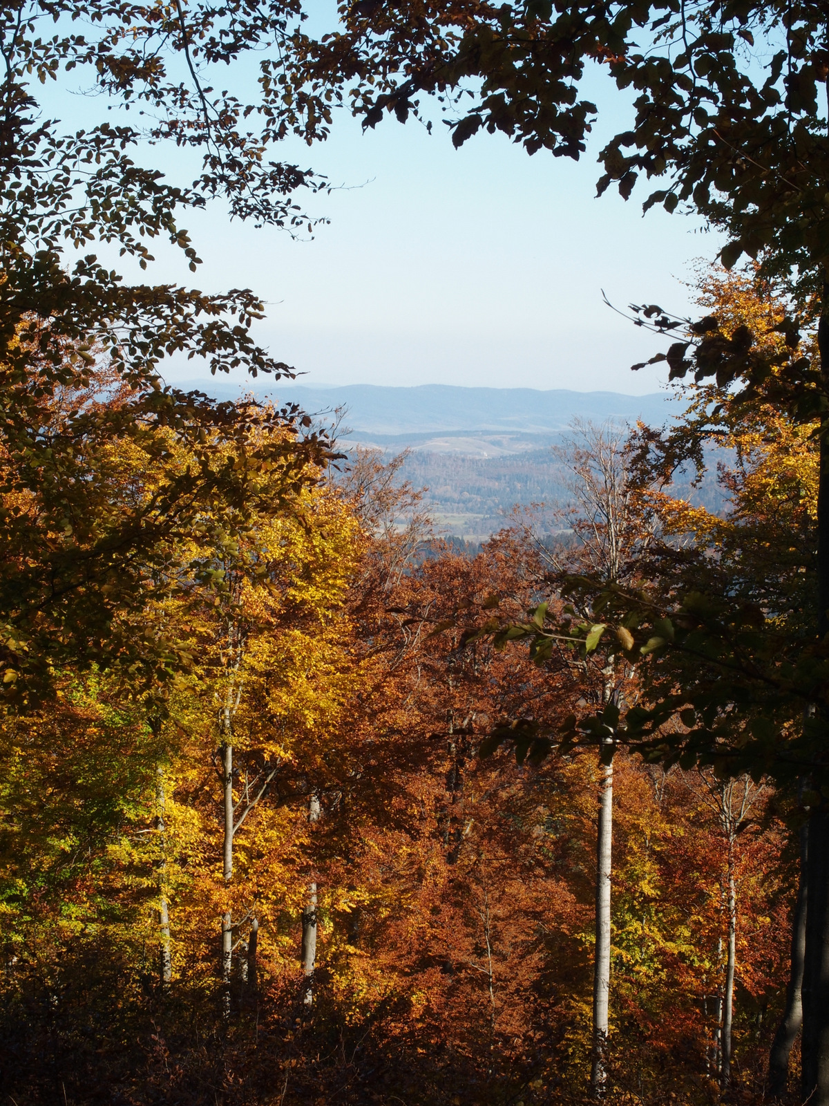 Kliknij obrazek, aby uzyskać większą wersję

Nazwa:	PA101977.JPG
Wyświetleń:	350
Rozmiar:	1,14 MB
ID:	206009