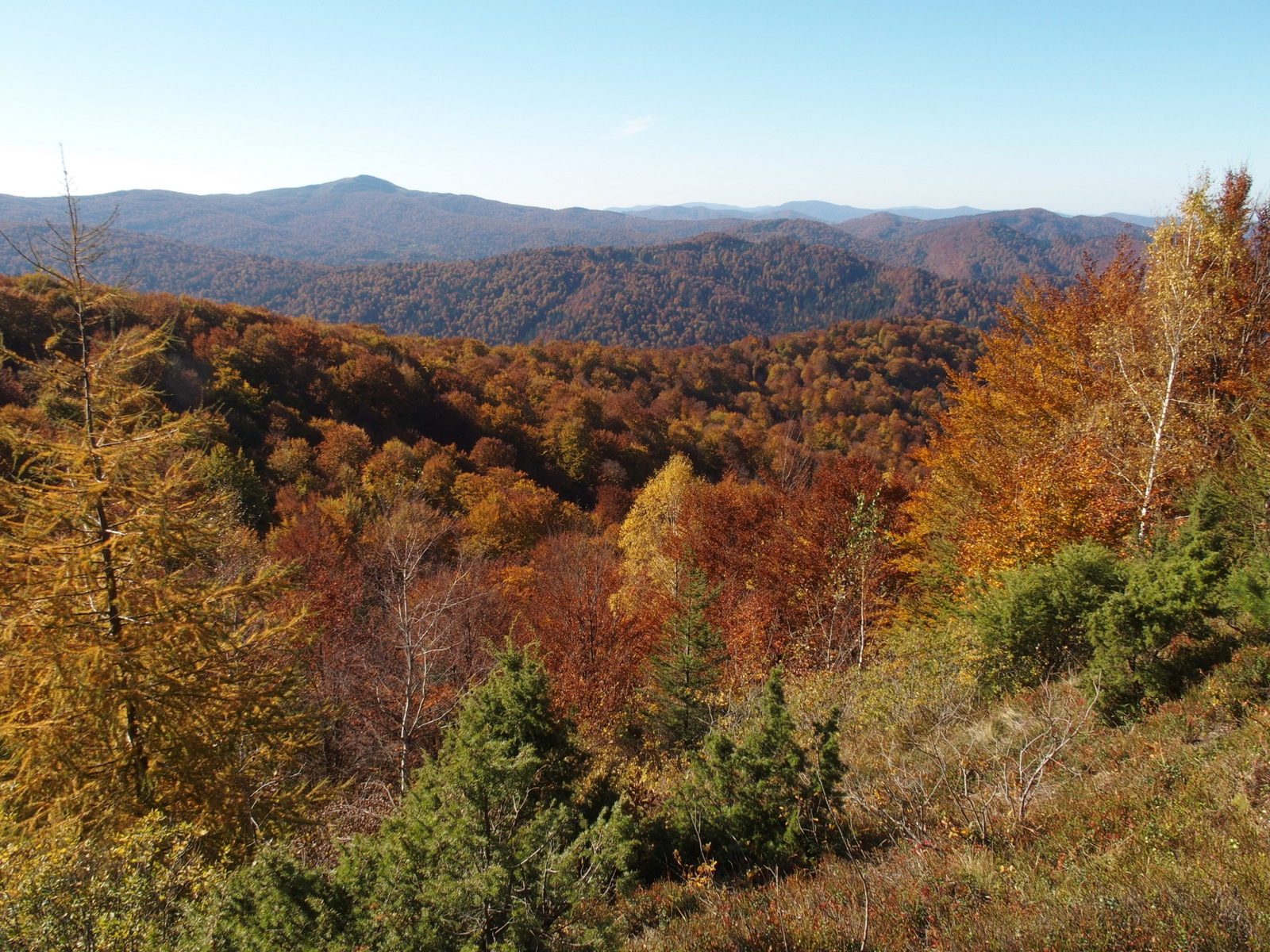 Kliknij obrazek, aby uzyskać większą wersję

Nazwa:	PA101990.JPG
Wyświetleń:	210
Rozmiar:	1.013,3 KB
ID:	206014