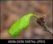 Kliknij obrazek, aby uzyskać większą wersję

Nazwa:	PB120015.JPG
Wyświetleń:	54
Rozmiar:	5,36 MB
ID:	206025