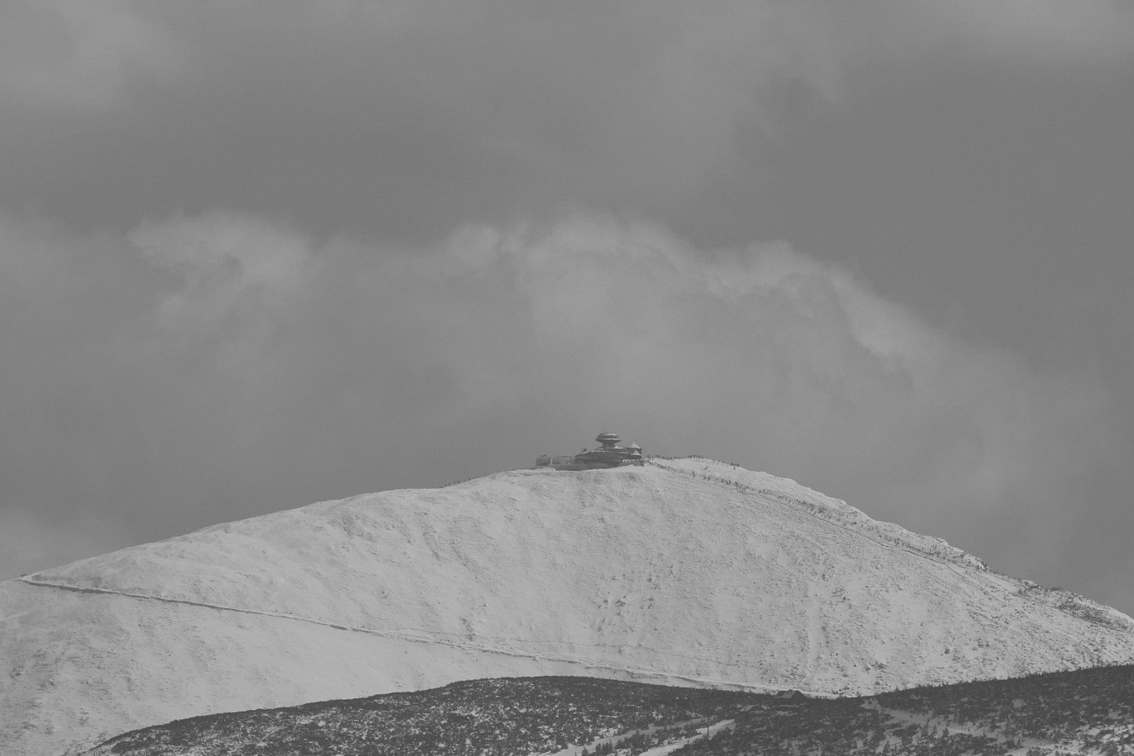 Nazwa:  P1090386.JPG
Wyświetleń: 793
Rozmiar:  603,3 KB