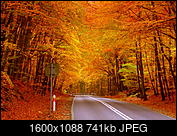 Kliknij obrazek, aby uzyskać większą wersję

Nazwa:	1-P1040804-001.JPG
Wyświetleń:	78
Rozmiar:	741,0 KB
ID:	206055