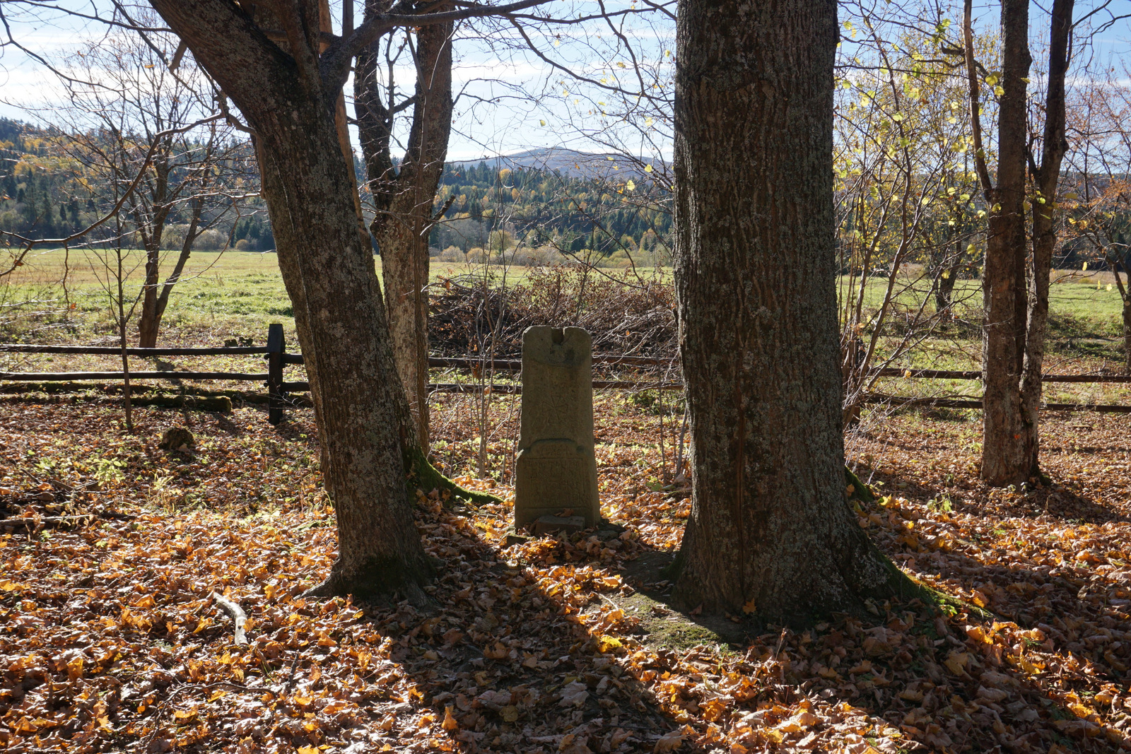 Kliknij obrazek, aby uzyskać większą wersję

Nazwa:	DSC03695.JPG
Wyświetleń:	285
Rozmiar:	1,20 MB
ID:	206215