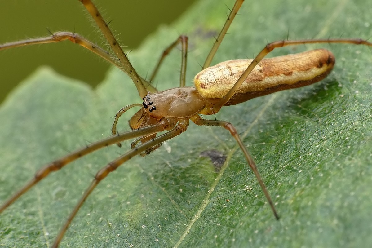 Nazwa:  kwadratnik52719cf.jpg
Wyświetleń: 143
Rozmiar:  213,0 KB