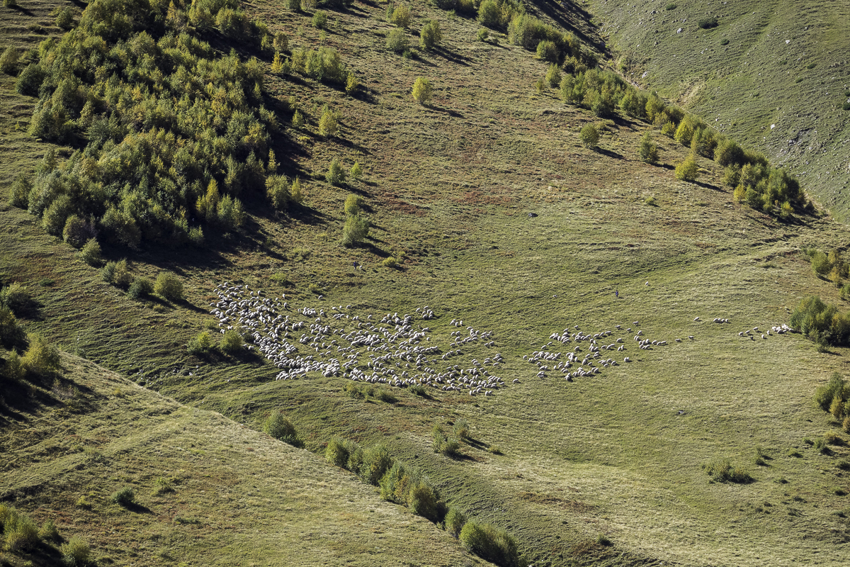 Nazwa:  P9251424.jpg
Wyświetleń: 168
Rozmiar:  1,39 MB