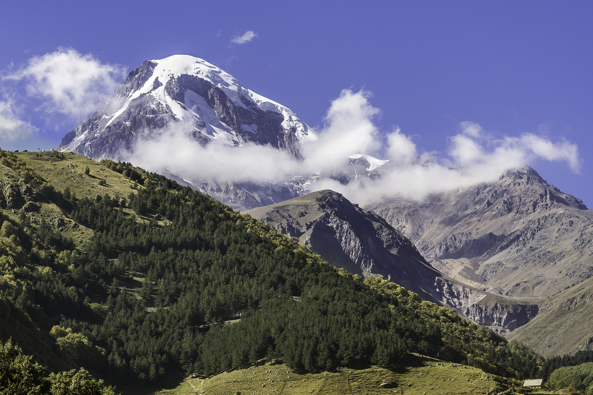 Nazwa:  P9251442.jpg
Wyświetleń: 160
Rozmiar:  895,7 KB