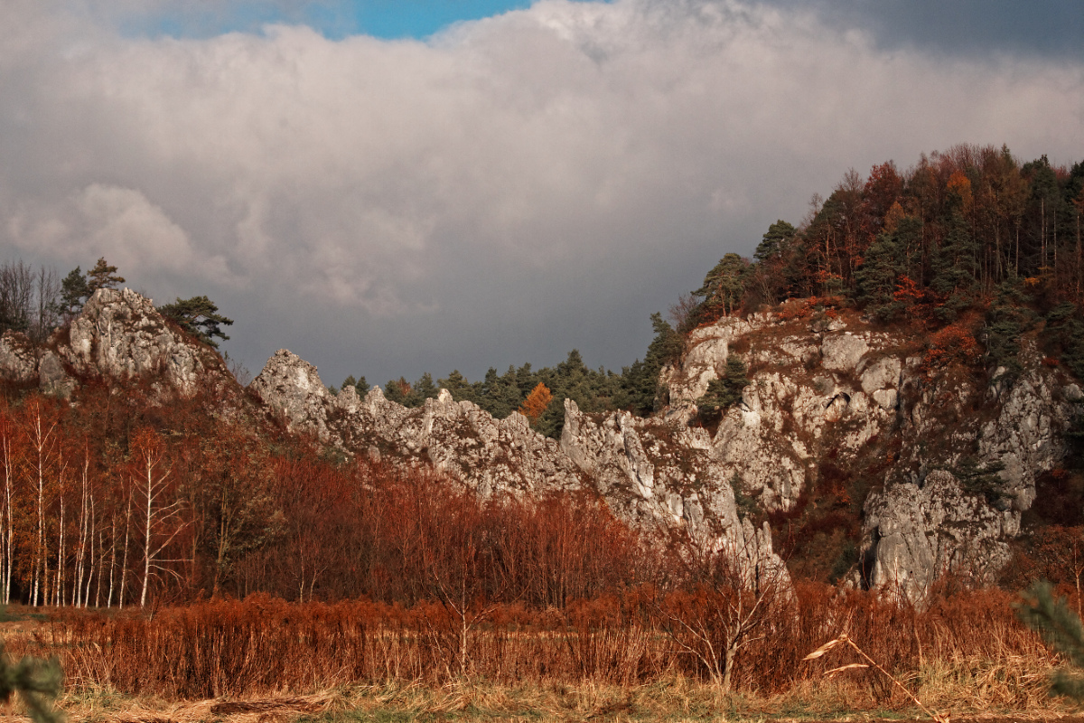 Nazwa:  28112018_TROP6978_DxO.jpg
Wyświetleń: 224
Rozmiar:  657,8 KB