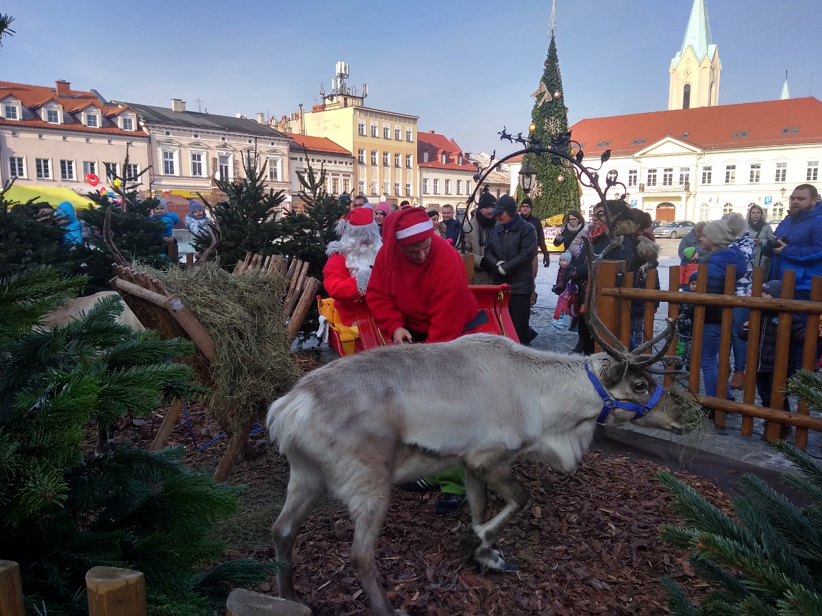 Nazwa:  IMG_20181202_110804101_HDR.jpg
Wyświetleń: 156
Rozmiar:  544,9 KB