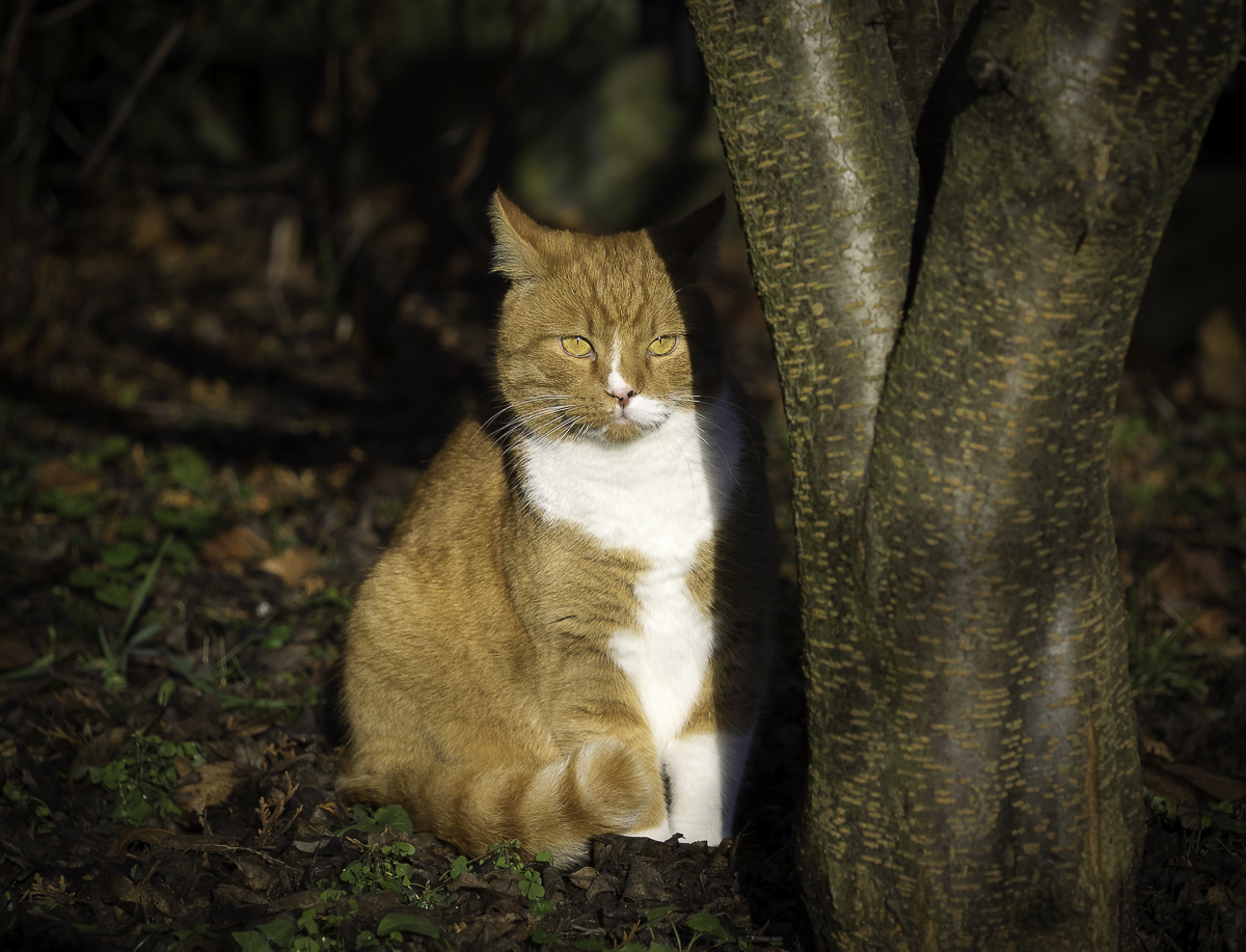 Nazwa:  PC050031.jpg
Wyświetleń: 188
Rozmiar:  750,5 KB