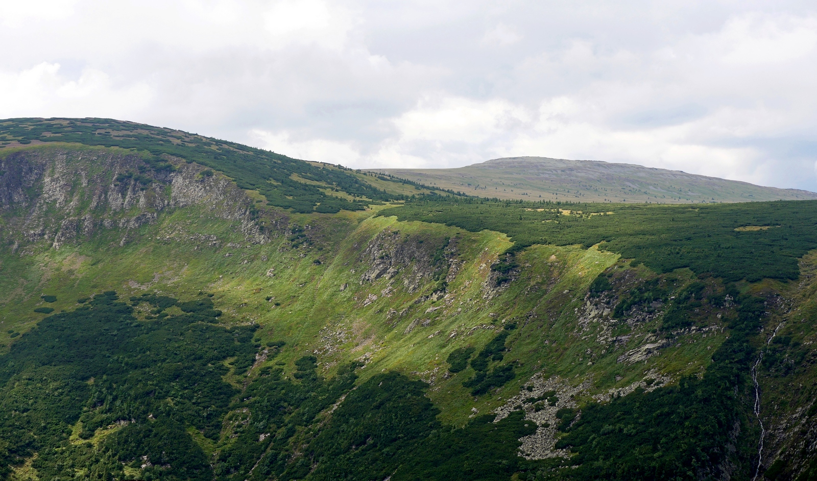 Nazwa:  P1150189.JPG
Wyświetleń: 329
Rozmiar:  920,4 KB