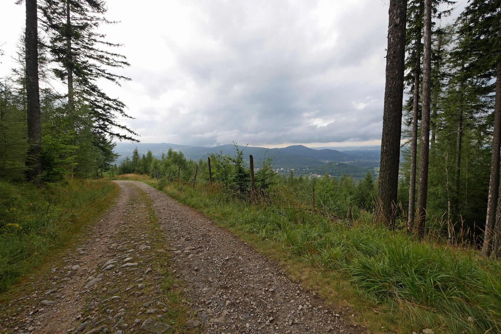 Nazwa:  P1150068.JPG
Wyświetleń: 241
Rozmiar:  996,7 KB