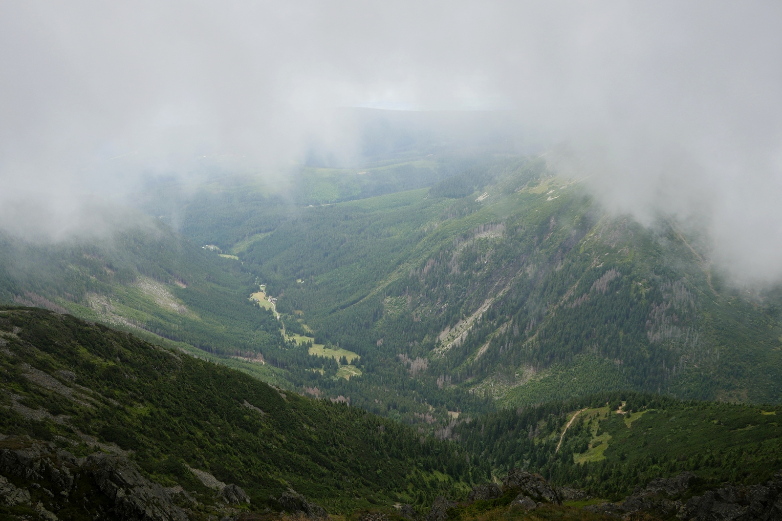 Nazwa:  P1150159.JPG
Wyświetleń: 290
Rozmiar:  796,5 KB